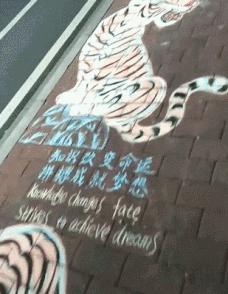 搞笑偷井盖的贼,偷井盖的搞笑图片