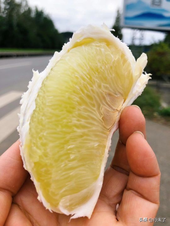 不负金秋香格里拉环线骑行视频,不负金秋千里骑行15天