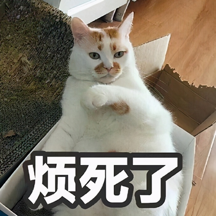 微信定时发送消息功能小米,微信定时自动发送视频功能