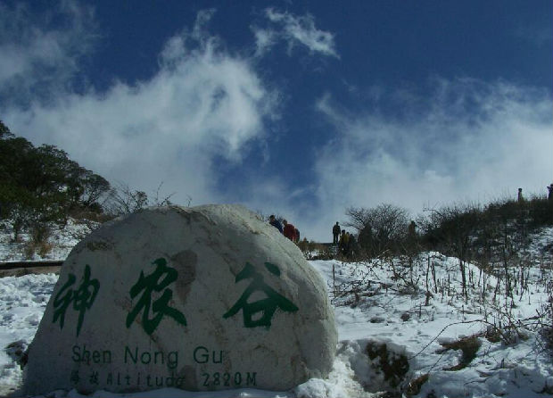 湖北神农架旅游景点大全攻略,湖北神农架旅游景点排行榜前十