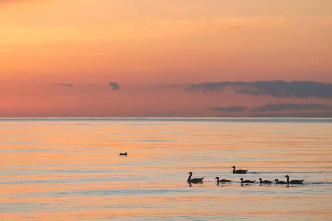 千年经典59首鲜为人知的古诗词,不爱江山爱美人完整版视频