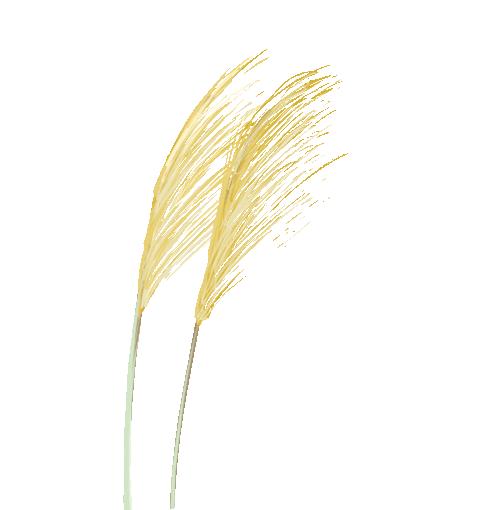 微信深色模式表白教程,微信深色模式隐藏表白图怎样弄