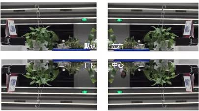 分辨率/码率，光学变倍/数字变倍这些参数配置有什么区别？