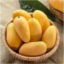 哪种芒果最适合做酸芒果,有芒果可以弄哪些夏天喝的饮品