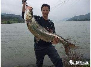 台钓入门知识及作钓技巧,台钓技巧之钓鱼新手入门知识