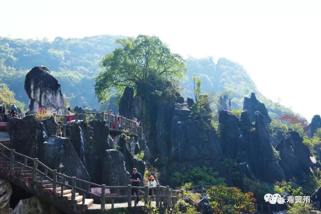 【“一会一节”探秘】什么？贺州居然有条“钻石”线路