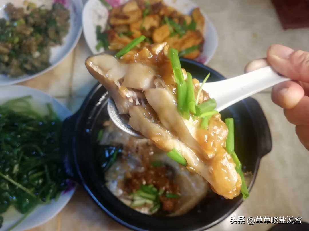 白鲳鱼怎么焖好吃,清蒸黑鲳鱼的做法大全