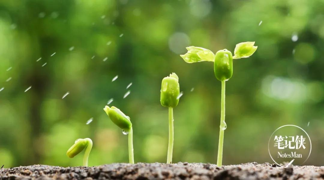 美团策划架构标准,美团数字化转型思路