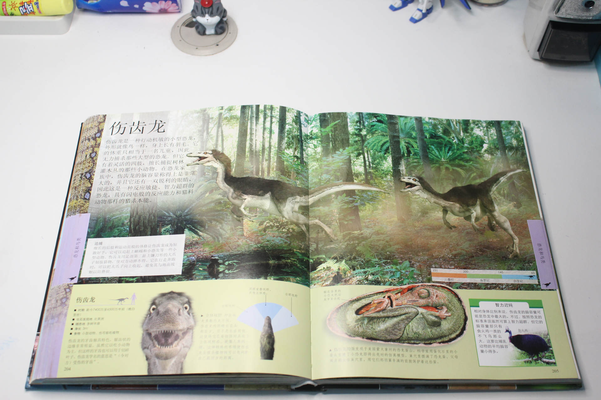 爱德华天使之光和非凡之光护眼灯,爱德华医生非凡之光护眼灯