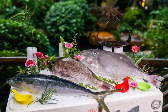 佛山古屋私房菜,佛山南庄鸡煲美食推荐团购套餐