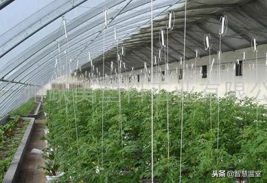 建一个智能温室栽培大棚需要多少钱？