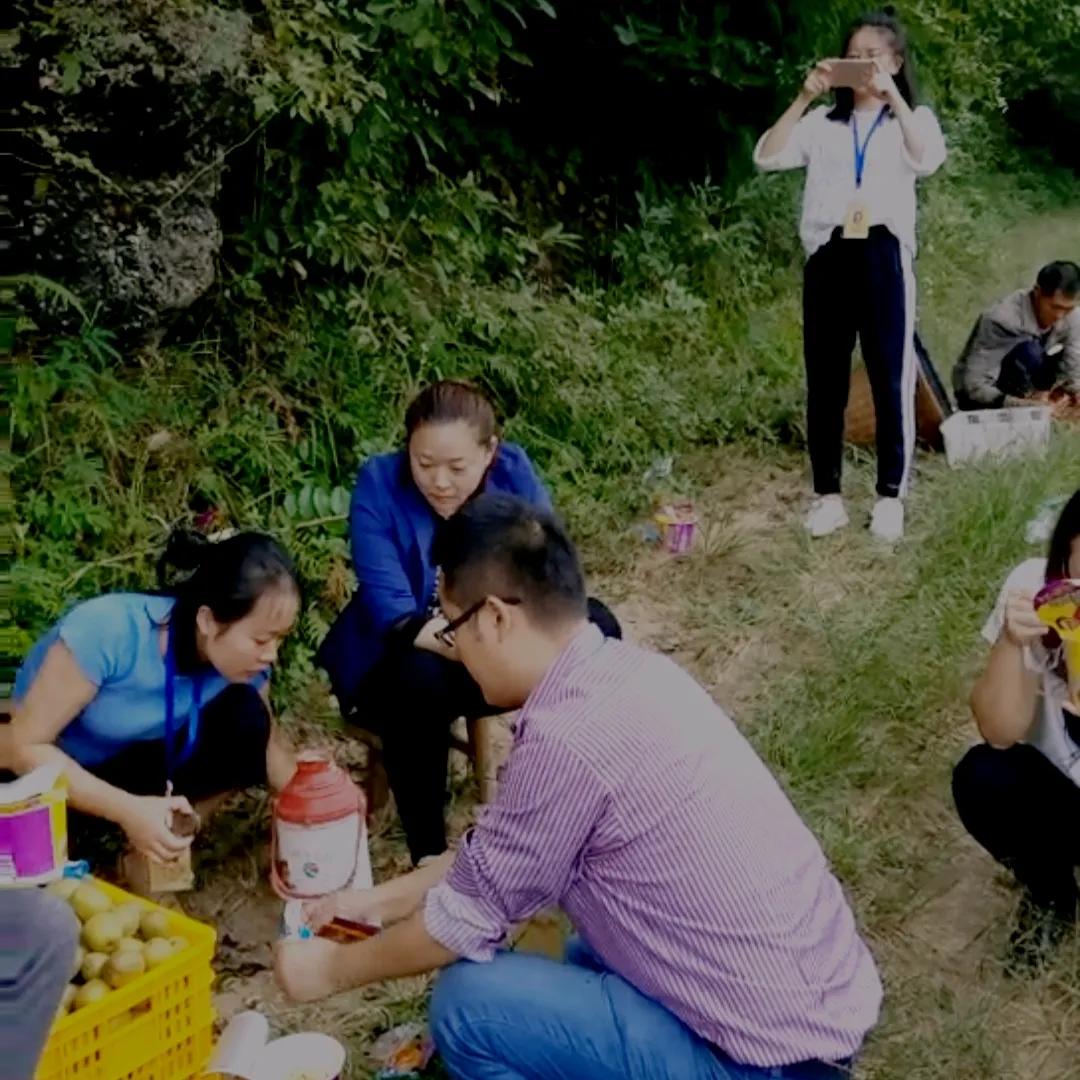 干货分享：乡村振兴中最赚钱的20个农村创新项目，成本低、见效快