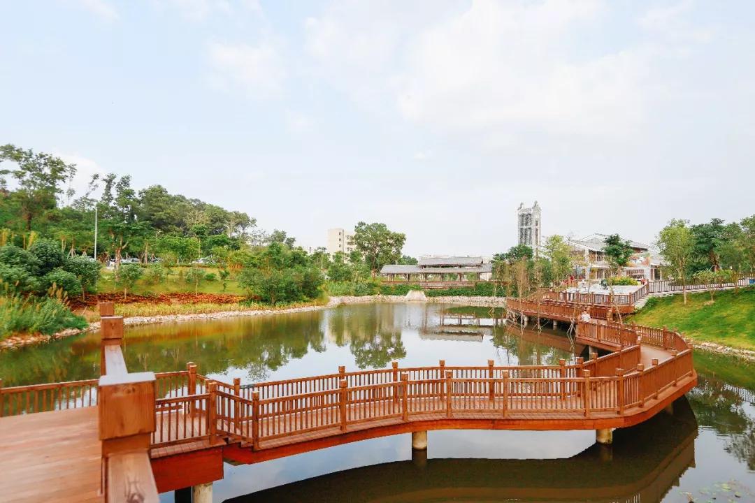 簕竹杜鹃谷公园,好看的杜鹃谷公园