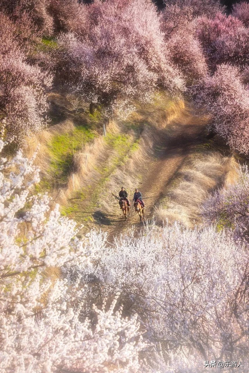 一定要去的五十个最美的地方中国,一生中必去中国100个最美的地方