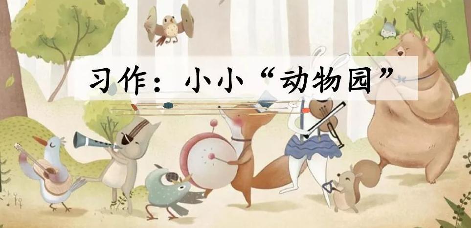 有趣的小小动物园习作400字以上,趣味小动物园的作文