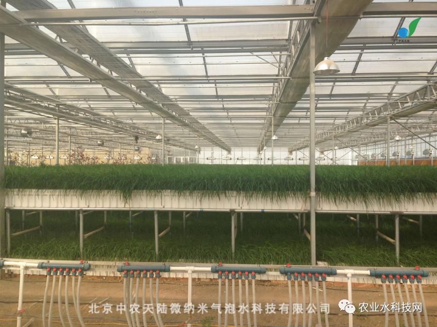 营养液在无土栽培的时候怎么增氧,无土栽培的营养液是怎么配制