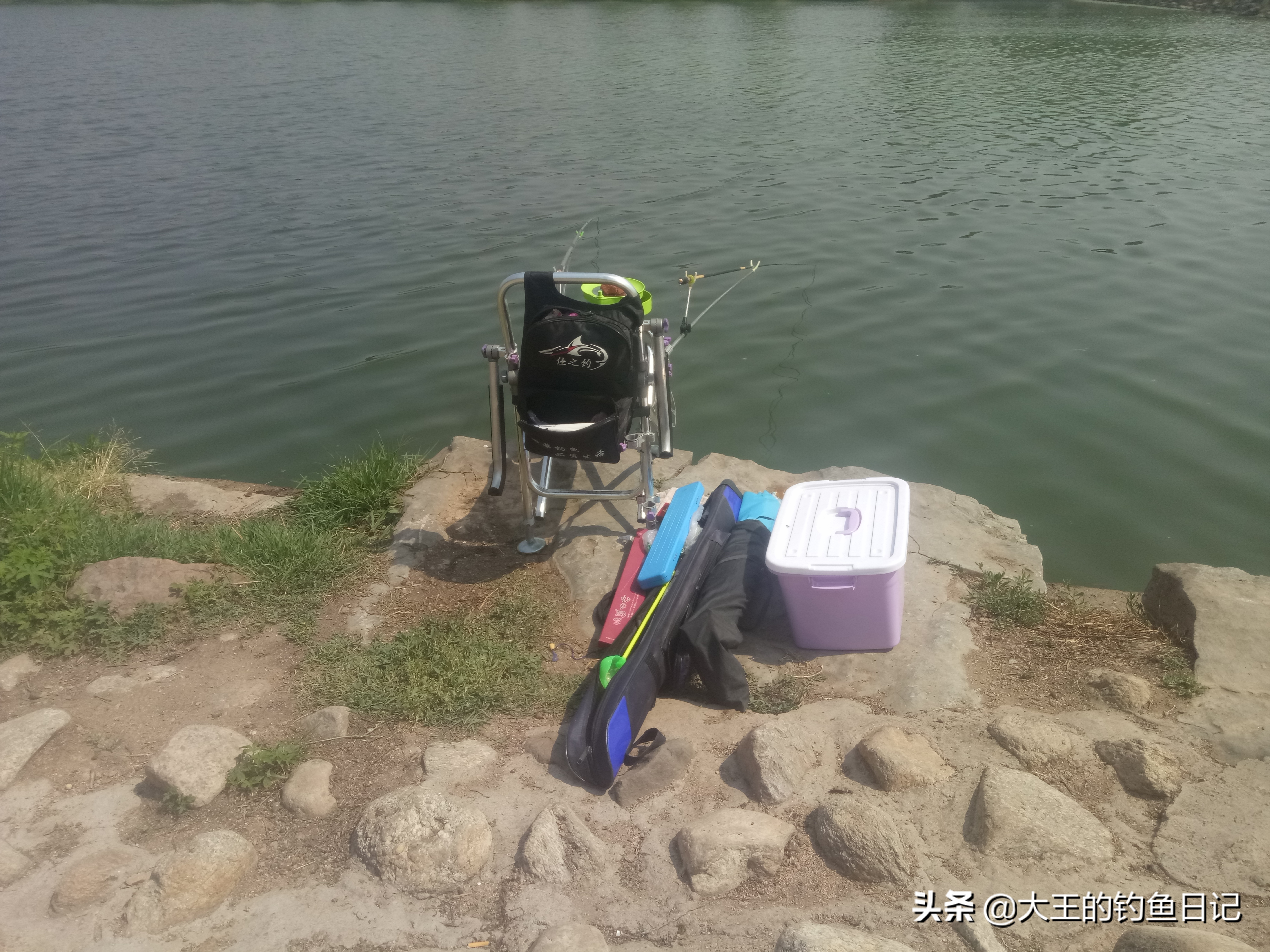 #头条钓鱼王#新钓友入门之五——鱼杆该如何选择？（夏季篇）