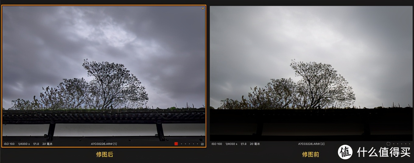 口袋型云台相机推荐,小白适合用云台相机还是运动相机