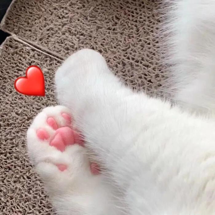 清透感亮片眼影推荐平价,平价眼影亮片爆闪推荐