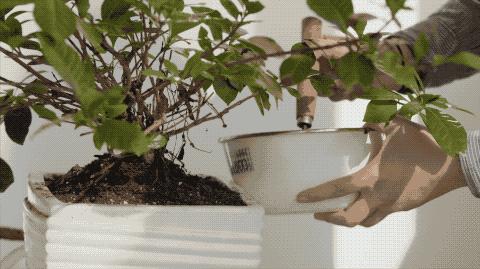 北京一对情侣三年不点外卖,一对北京情侣三年零收入