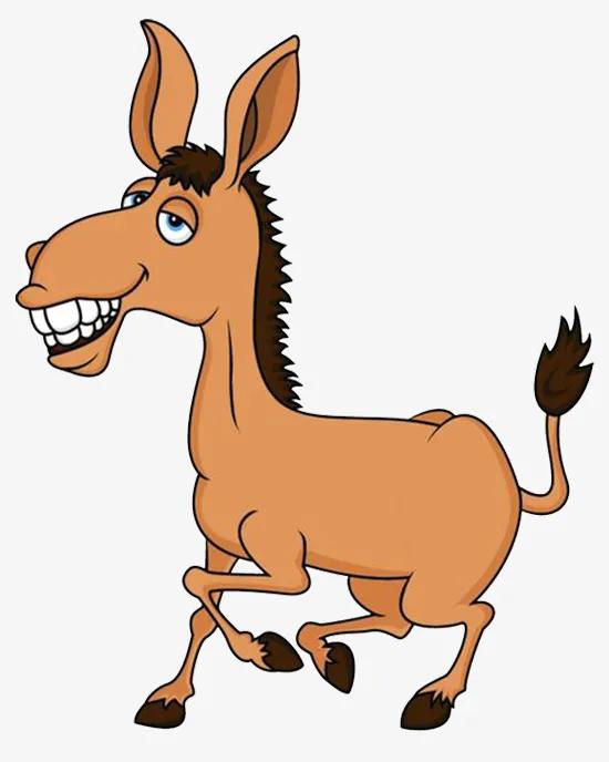 中国足球之南腔北调