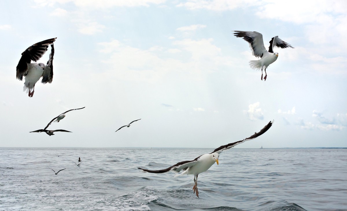 拼多多无货源500块开店广告可靠吗,拼多多无货源模式2020年还能做吗