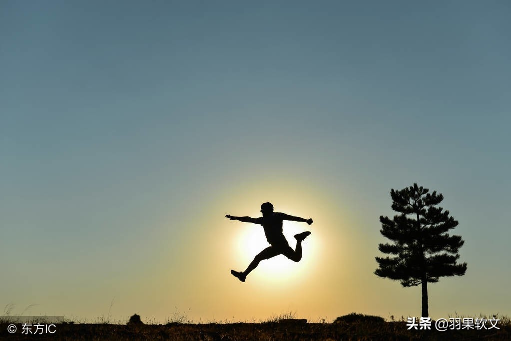 《布鲁克林有棵树》：苦难铸就成长，温情培育希望