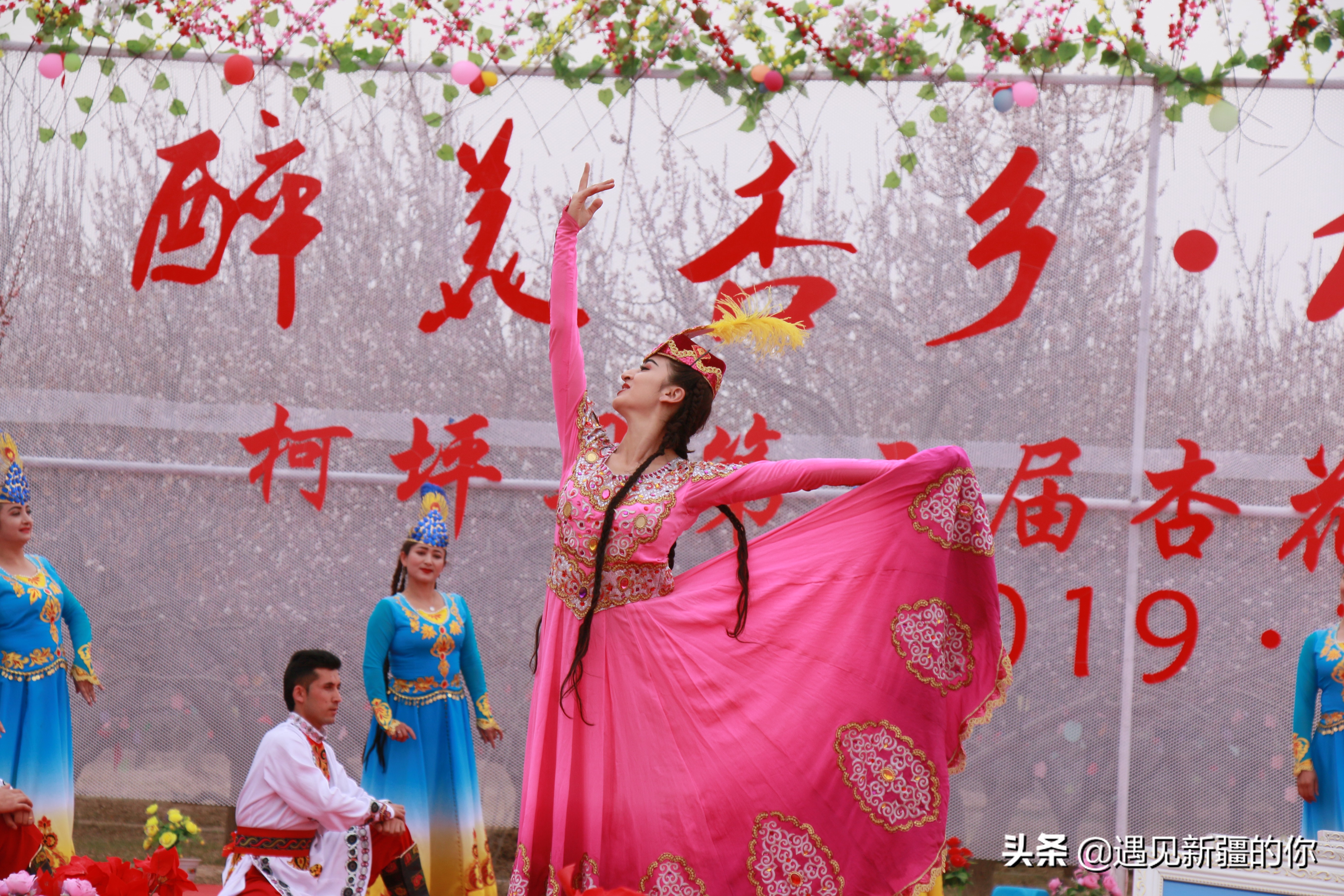 新疆尉犁县杏花节,杏花节旅游