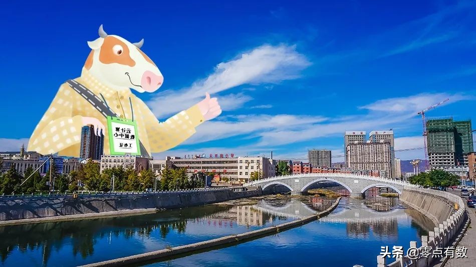 呼和浩特奶萌兽：足球摔跤样样行，体育课代表非它莫属！