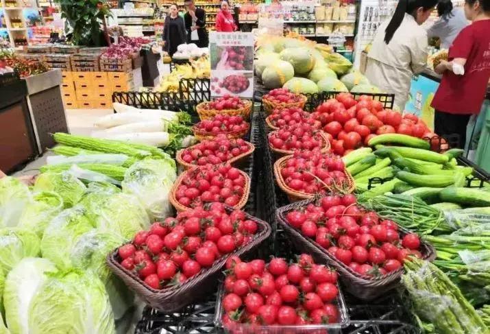 被“致富经”忽悠养殖野鸡，没想到失败以后反而成了番茄大王