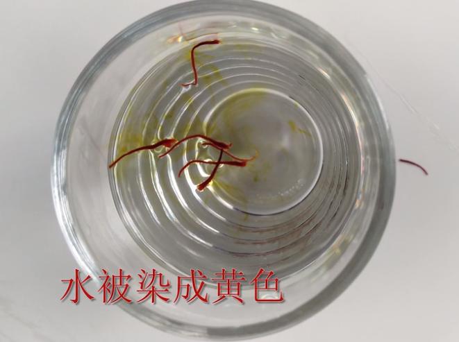 西红花与红花鉴别表格,红花和西红花图片对比