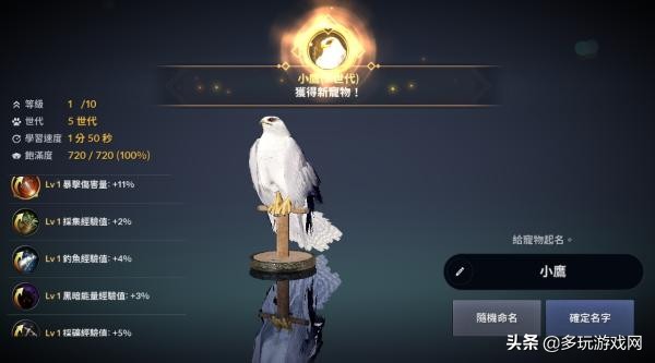 黑色沙漠新手变强,黑色沙漠台服70级后战力增加方法