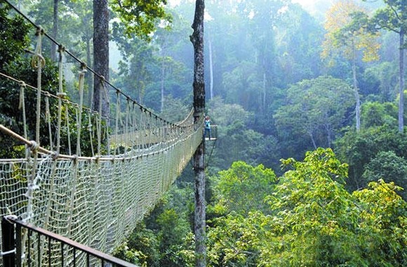 去西双版纳旅游游记,来到云南西双版纳
