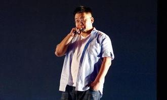 魅族是怎样从巨头走向衰落的,魅族怎么从巨头走向衰落的