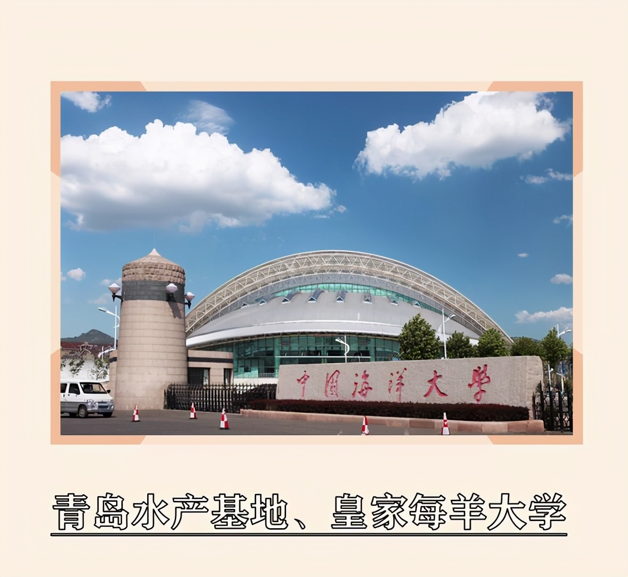 985大学取名大全,985大学江湖绰号