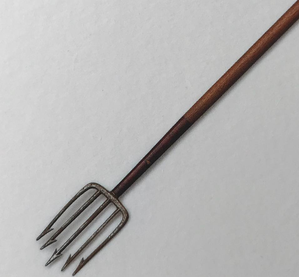 商王弓箭射大鳖，西周有个射鱼国，商周名流必备的鱼鳔箭头了解下