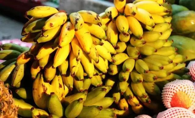 最全海南水果上市时间表,海南水果上市时间表收藏版