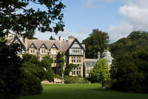 博德兰荚蒾对光照的需求,博德兰荚蒾怎么养护和种植