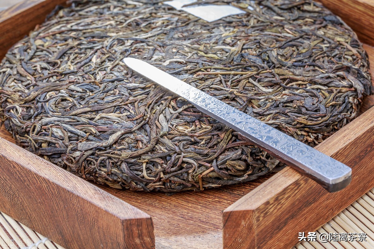普洱茶经典茶术语大全集,普洱茶知识与茶文化