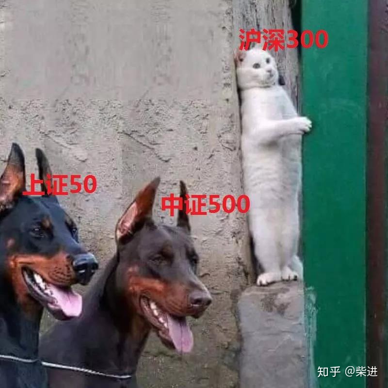 沪深300中证500上证50区别,上证50沪深300中证500和中证1000