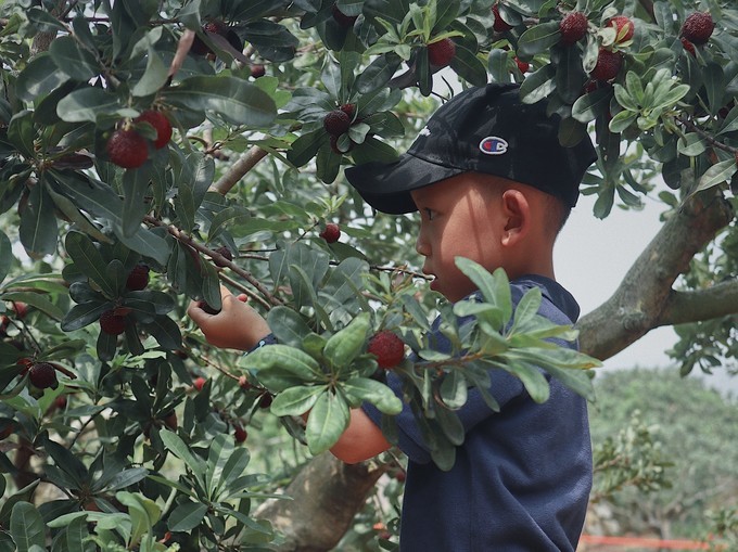 错过救赎山，还有彩虹山，手把手教你把漳州火山岛玩成假装在国外