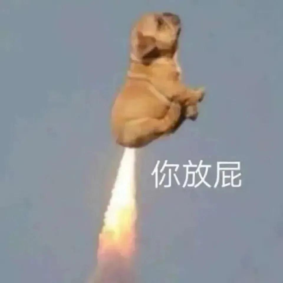 猪白菜今晚有空吗可爱表情包,今晚有空么猪拱白菜表情包