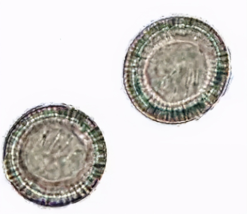 宠物寄生虫会传染人吗有什么症状,养宠物容易得寄生虫吗