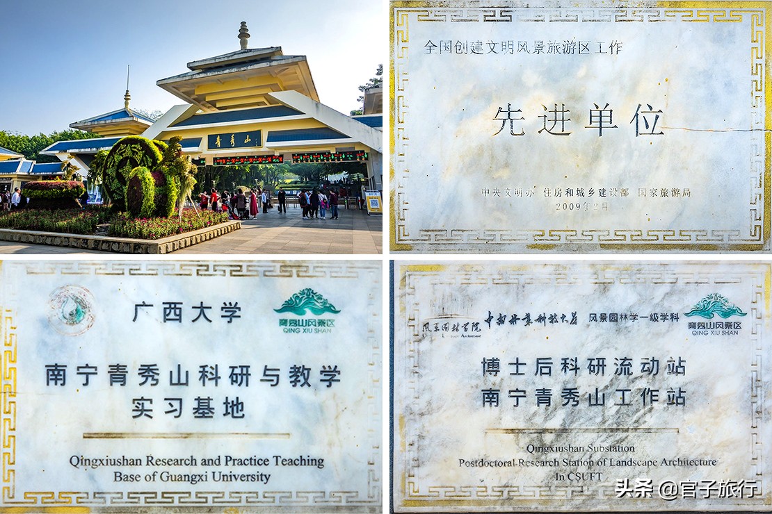 再游青秀山，看“熊猫级”国宝苏铁王，只为千年等一回的告别