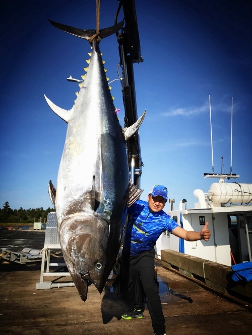 我是一个默默无闻的海钓人，但我可能吃过世界上所有的海鲜