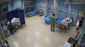 被大马蜂蜇伤有什么反应,被毒蜂蜇伤后的紧急处理方法