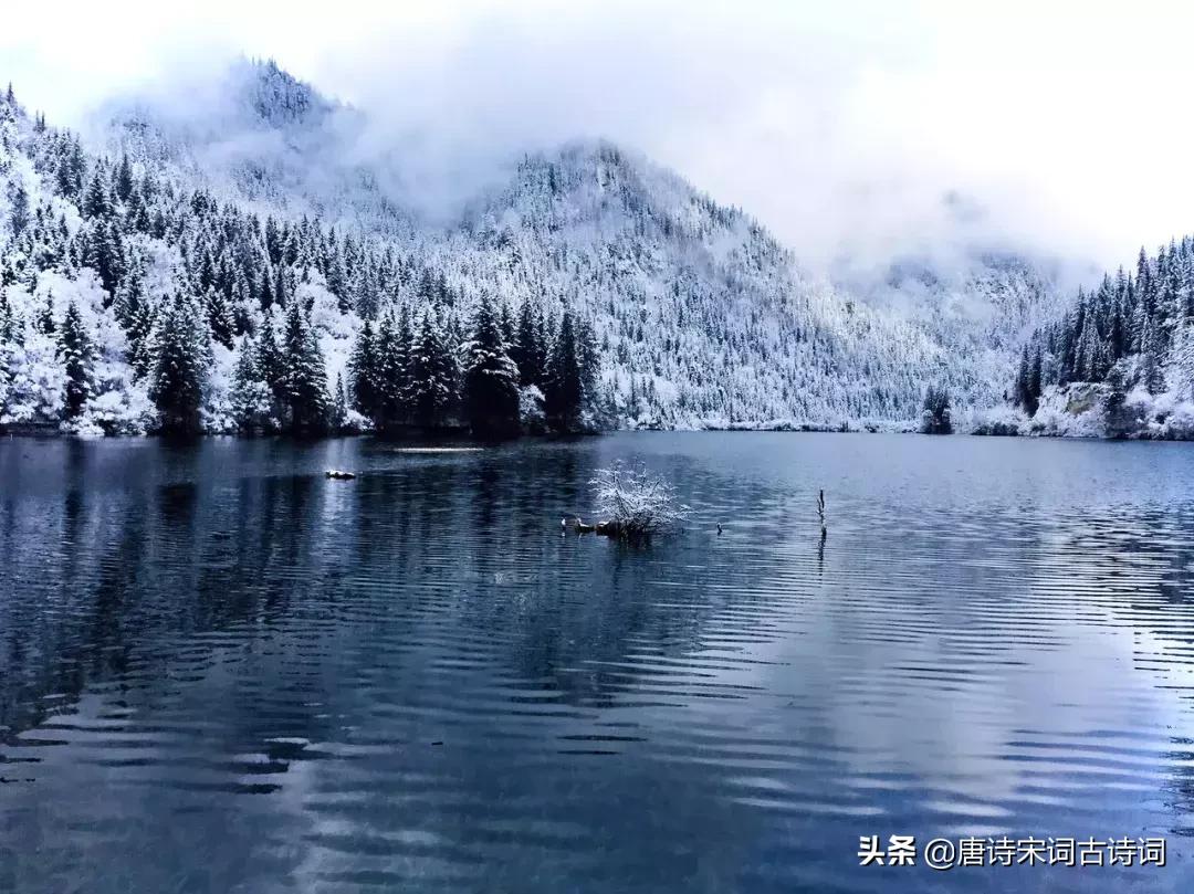 诗词歌赋雅俗共赏,诗酒花茶琴棋书画七言绝句