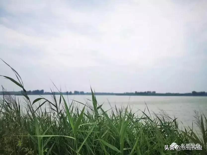 这才是郑州新贵追捧的湖畔臻品。100㎡出头的临湖独院来了