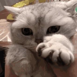 黄圣依美容仪真的很良心吗,黄圣依美容仪怎么样了