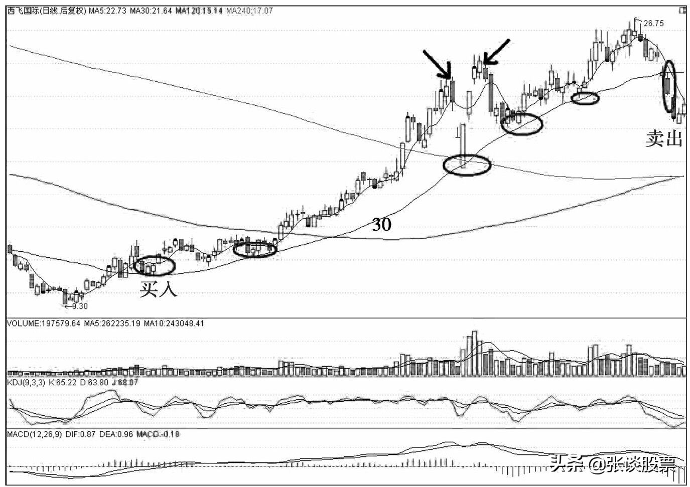 30日线生命线,30日线突破